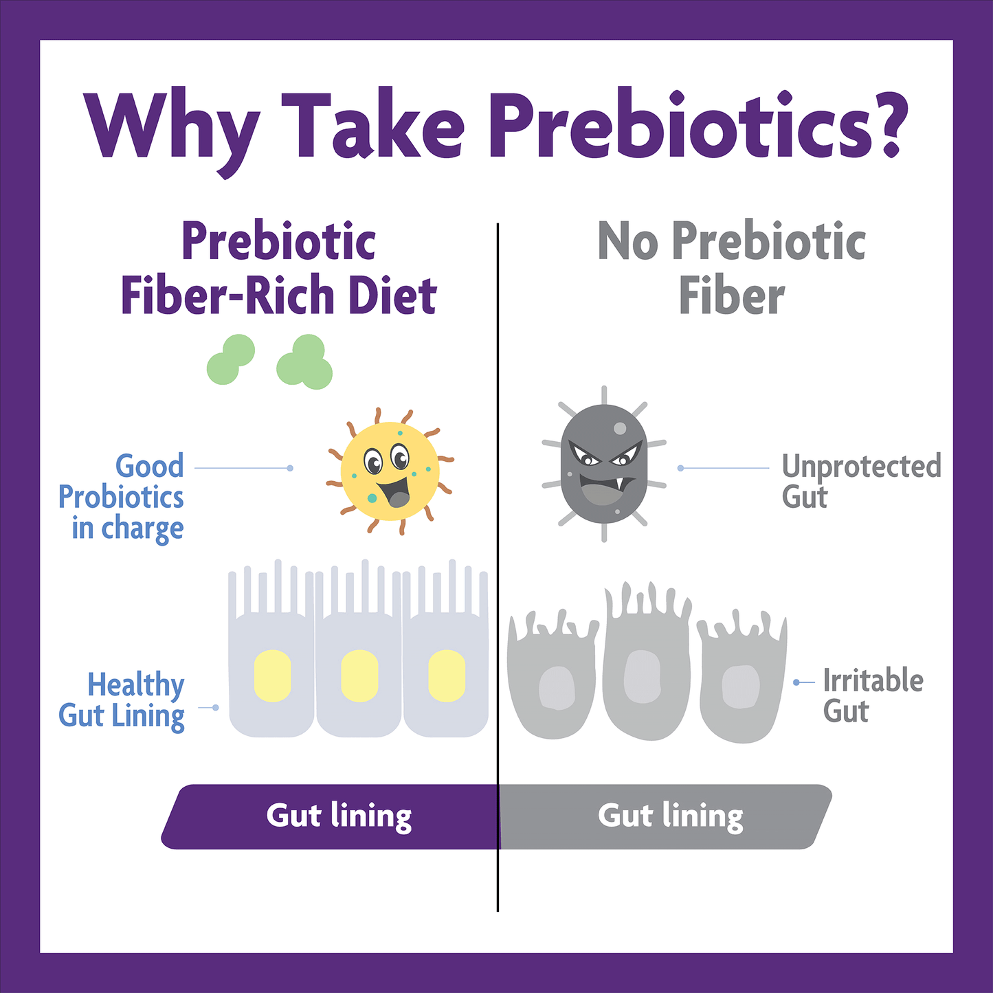 Broad Spectrum Prebiotic Fiber